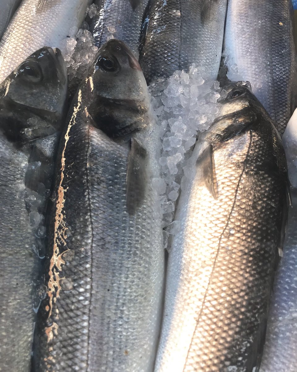 Caught last night @theportlandscallopco have Sea Bass