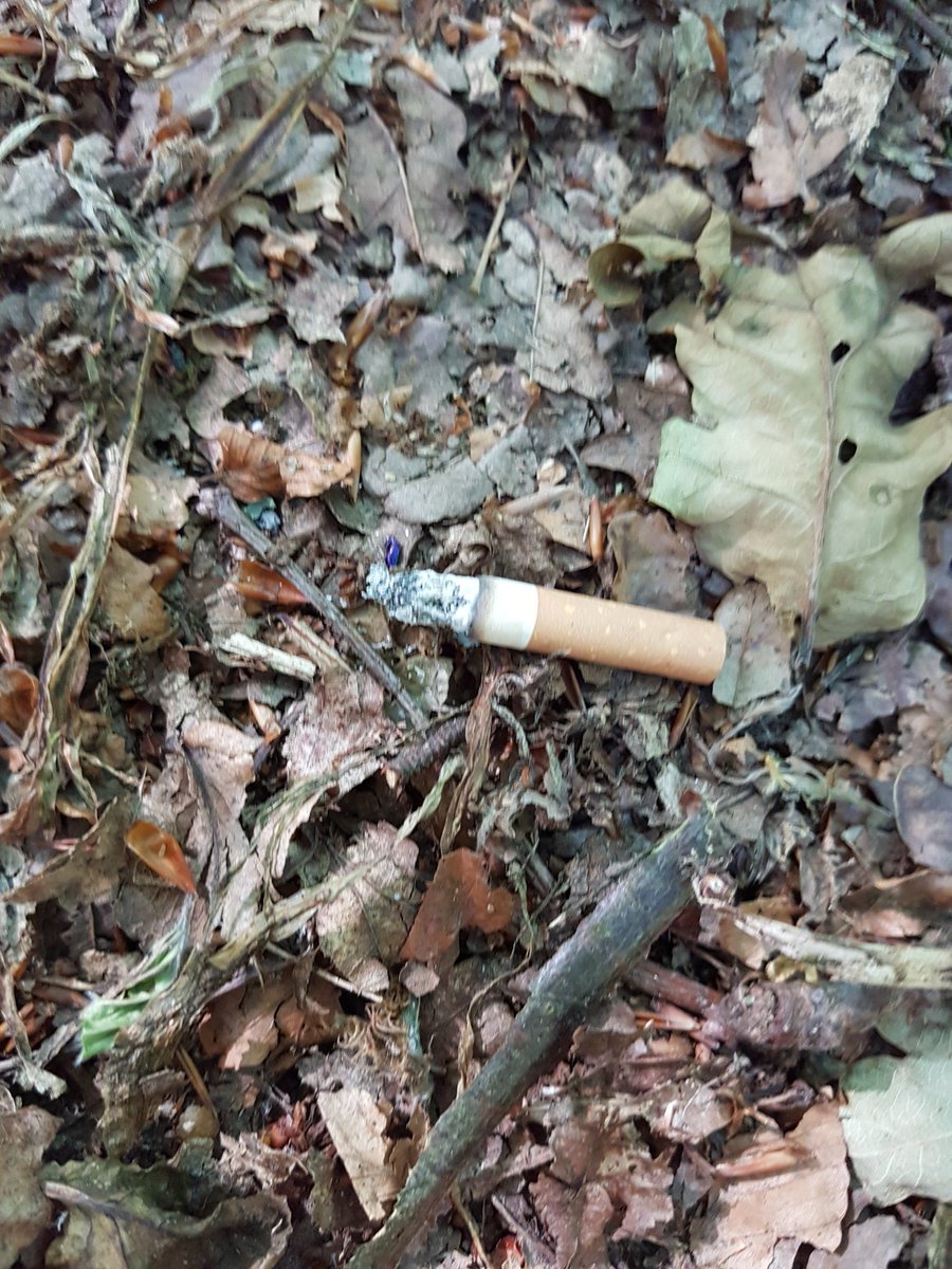 <a href="/JuliaBradbury/">Julia Bradbury I HAVEN'T BOUGHT BLUE TICK💙</a> <a href="/sascampaigns/">Surfers Against Sewage</a> <a href="/aplastic_planet/">A Plastic Planet</a> I've been shocked by the amount of fag ends in the leaf litter at my local woods. Its a wonder there haven't been more fires. 

Mostly dog walkers I think as it tends to be along the same path as all the dog poo bags hanging in the trees.