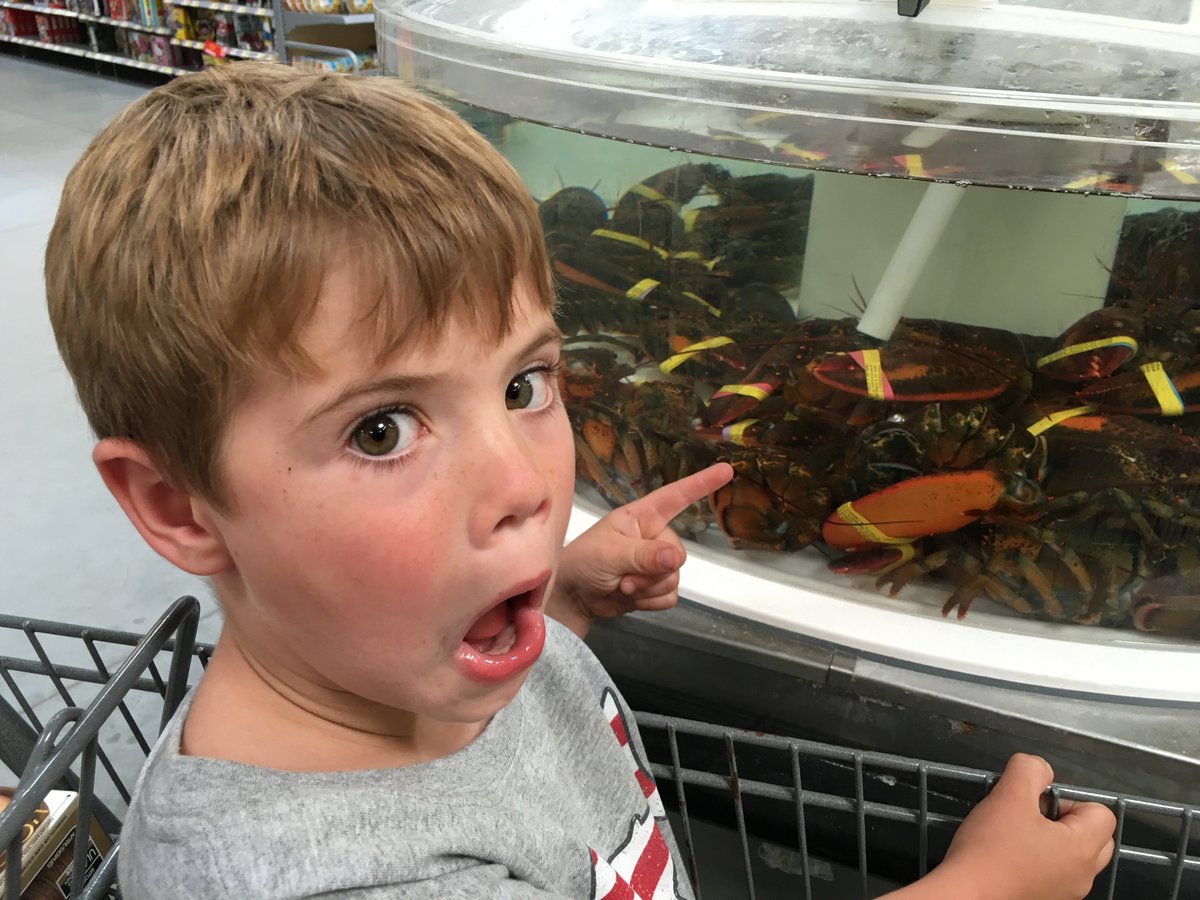 TheSnackShark's tweet photo. Checking out The Andre The Giant sized Lobsters......Snack Shark competition. https://t.co/XQ0XQkPKke