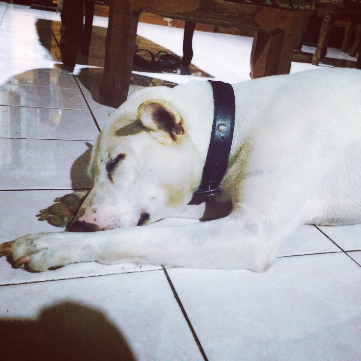 Miss you so much sleepy head...