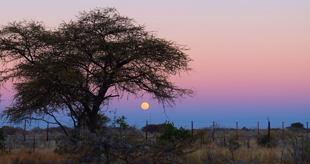 The total lunar eclipse in Etosha natioal park. #나미비아여행단 #개기월식 ...