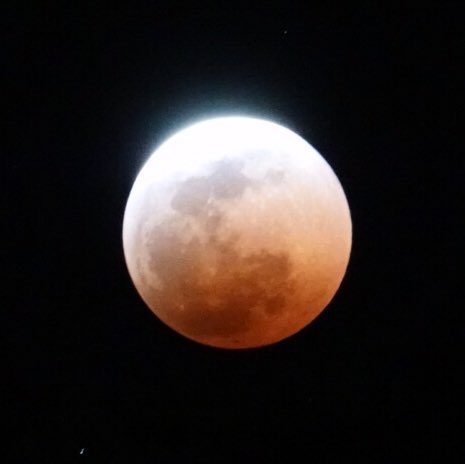 The total lunar eclipse in Etosha natioal park. #나미비아여행단 #개기월식 ...
