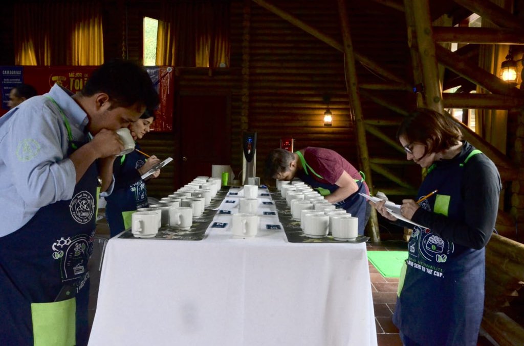 PerfectDailyG's tweet image. Cupping some of the best coffees from Ibagué at “Lo Mejor de Tolima” with @inconexuscoffee ☕️🇨🇴
