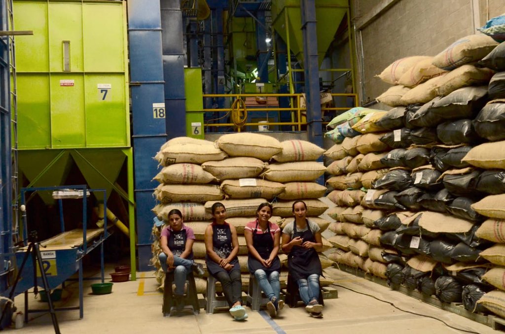 PerfectDailyG's tweet image. Cupping some of the best coffees from Ibagué at “Lo Mejor de Tolima” with @inconexuscoffee ☕️🇨🇴