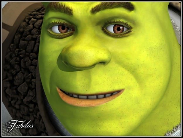 This is for this home bRO. Heres all my shrek memes  https://twitter.com/princessdaddyve/status/1023182936001130496