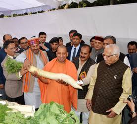 MukundPuyad's tweet image. #DILDOmodiko 😂😂😂