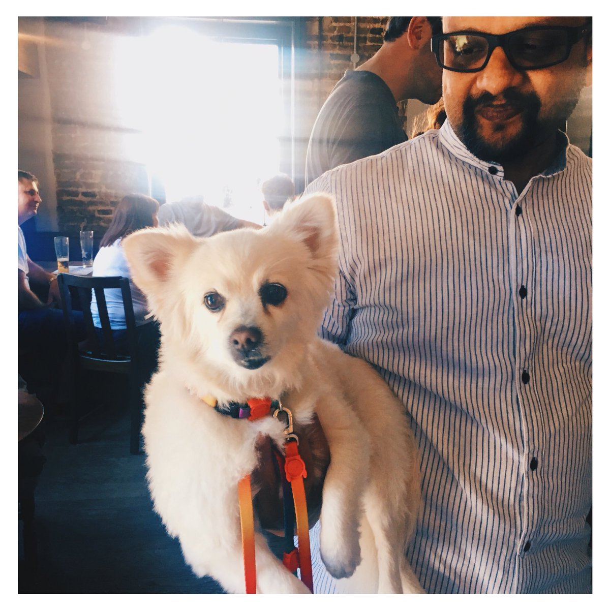 This is Caspar. He’s enjoying a carry on the summer heat 🌞🌞🐶