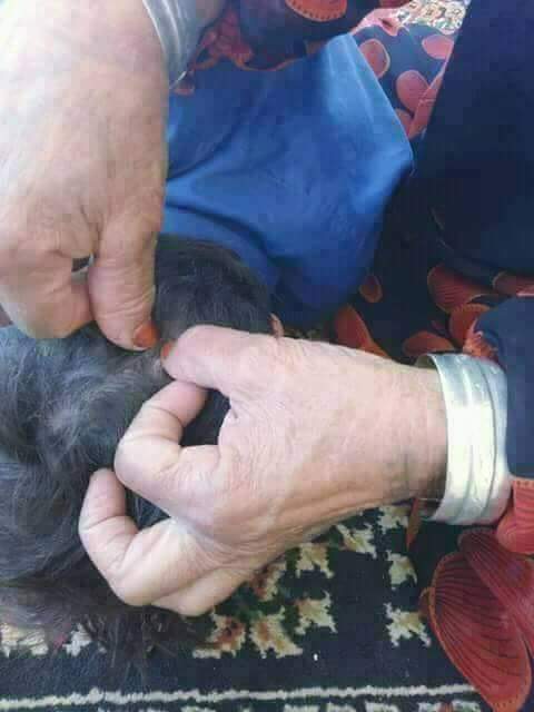 فحل يمني حاتم الرياض (@wjrsuipyxbupr3c) on Twitter photo 