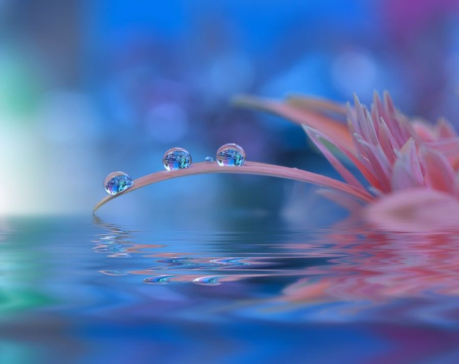 Your soul is your best friend.
Treat it with care
Nurture it with growth
Feed it with love.

Ashourina Yalda 
Pic Juliana Nan