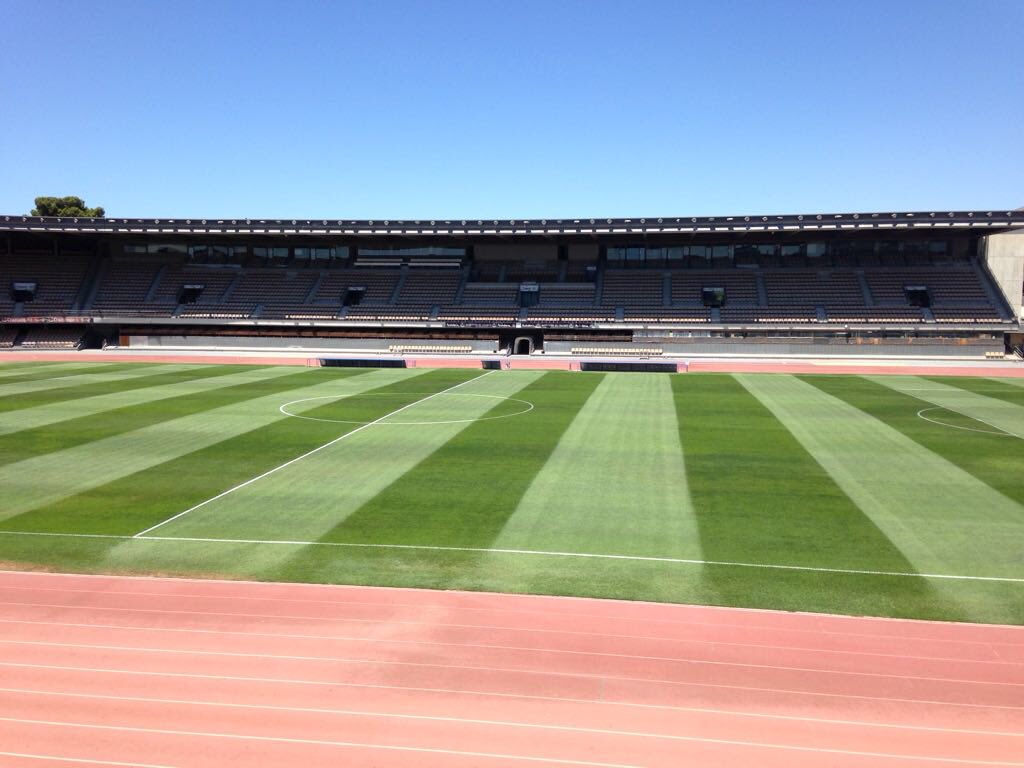royalverd's tweet photo. Hemos preparado el césped🌱 del Estadio de Chapín para el amistoso del @RealBetis vs @LOSC_ES @royalverd ⚽️ https://t.co/IYqxkGlzNX