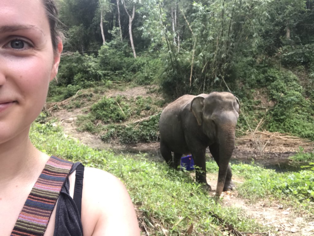 PavoPortraits's tweet photo. What a fantastic morning @PESElephant and it was so amazing to see so many happy elephants! Such an inspiring cause rescuing elephants into a happy retirement 🐘🌴🐘🌿🐘🍉🍍#elephant #Sanctuary #happy #Thailand #Phuket #amazing #Elephants #peaceful #photography https://t.co/owG5aNkKm3