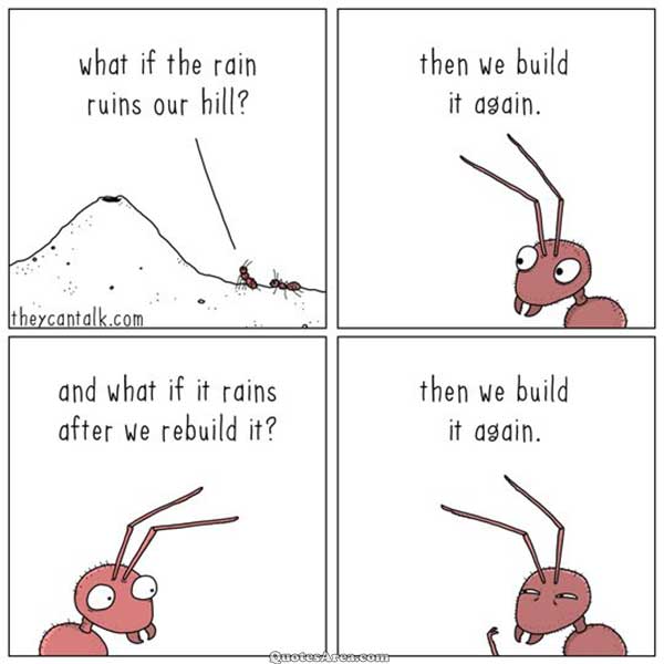 QuotesAreaa's tweet photo. We Build It Again https://t.co/LbyfVNP4AJ #Motivational #Quotes https://t.co/xUff6Ck4BE