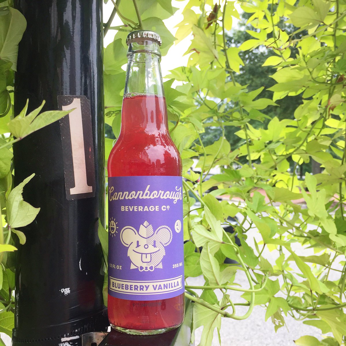 We have a new limited edition version of <a href="/Cannonbevco/">Cannonborough Bev Co</a> sodas: Blueberry Vanilla! We also offer Raspberry Mint, Grapefruit Elderflower, and Ginger Beer-- handmade in Charleston, SC.