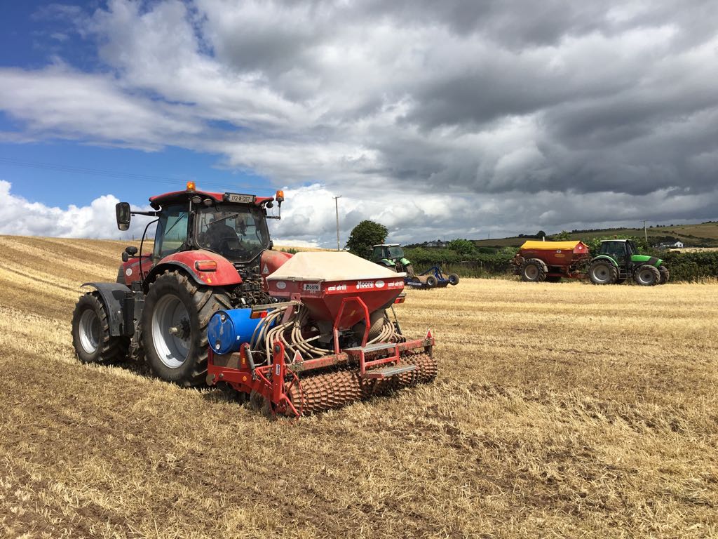 Good day sowing forage rape after rain last night