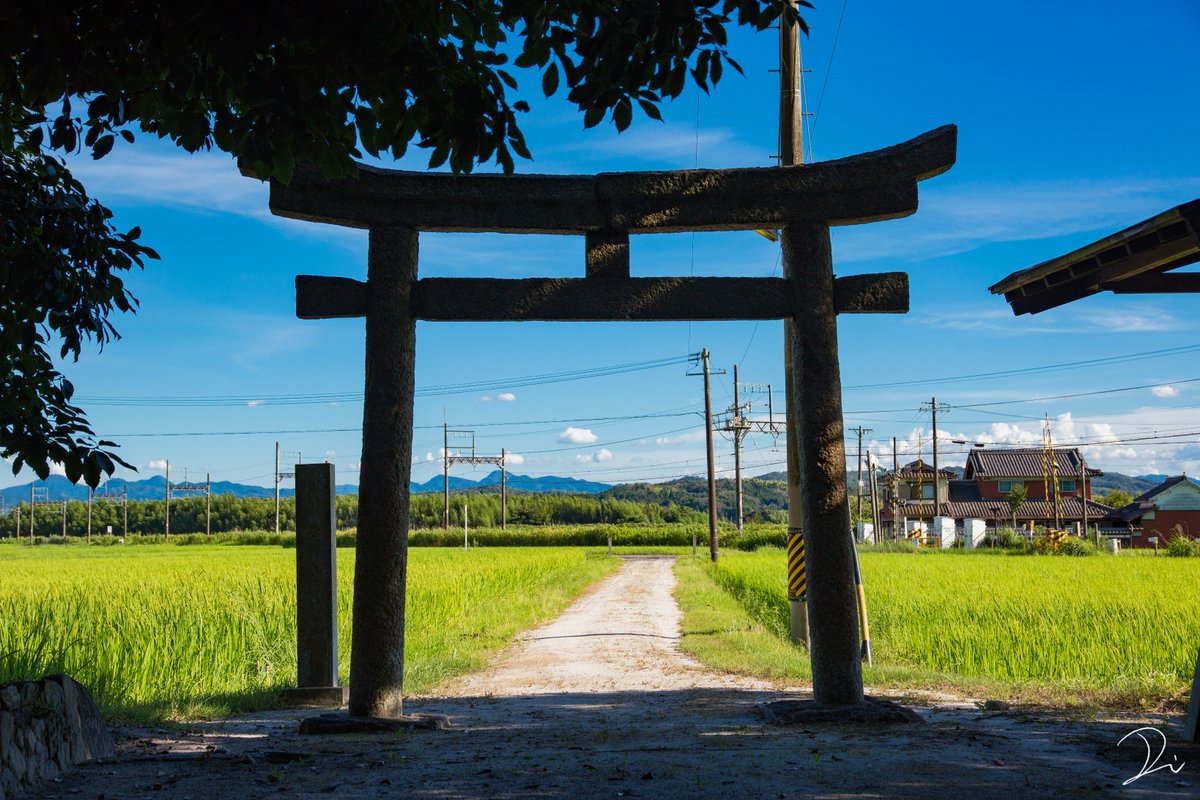 うさだぬ Twitter પર 夏の神社 ノスタルジックを愛する人へ