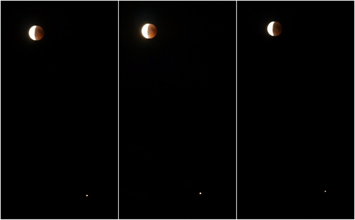 KaticaApps's tweet image. Lunar eclipse without photoshop.
Mars near the Moon (3rd photo).
#LunarEclipse #BloodMoon