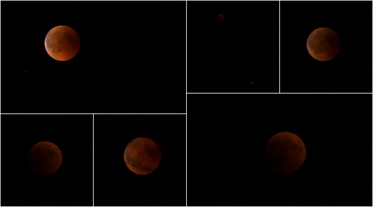 KaticaApps's tweet image. Lunar eclipse without photoshop.
Mars near the Moon (3rd photo).
#LunarEclipse #BloodMoon