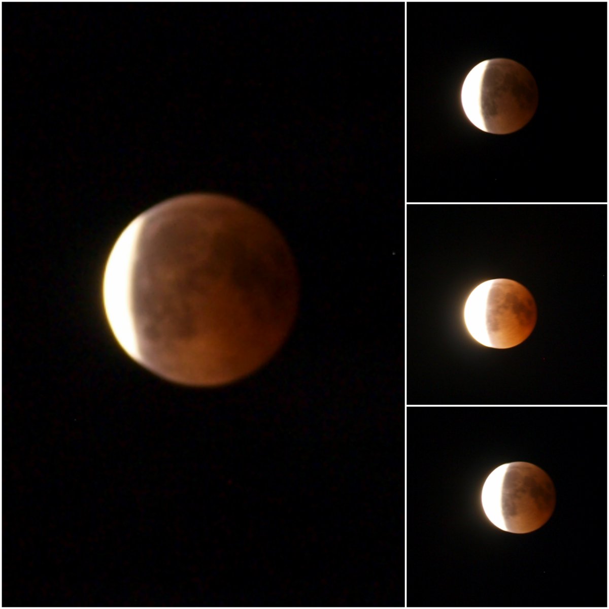 KaticaApps's tweet image. Lunar eclipse without photoshop.
Mars near the Moon (3rd photo).
#LunarEclipse #BloodMoon