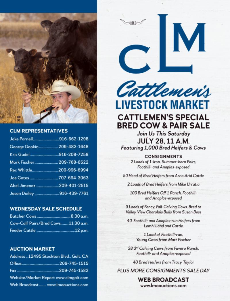 Wlj On Twitter Cattlemen S Livestock Market Special Bred Cow