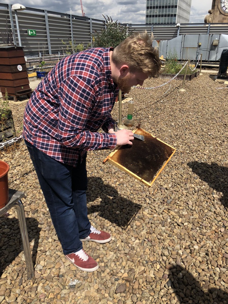 CityCo's tweet photo. Fascinating tour of @The_Printworks roof top bee hives! 🐝 

#BeeInTheCity #BeeintheCityMCR #BeeWeekender @ManchesterBID https://t.co/P6f4CGFiz9