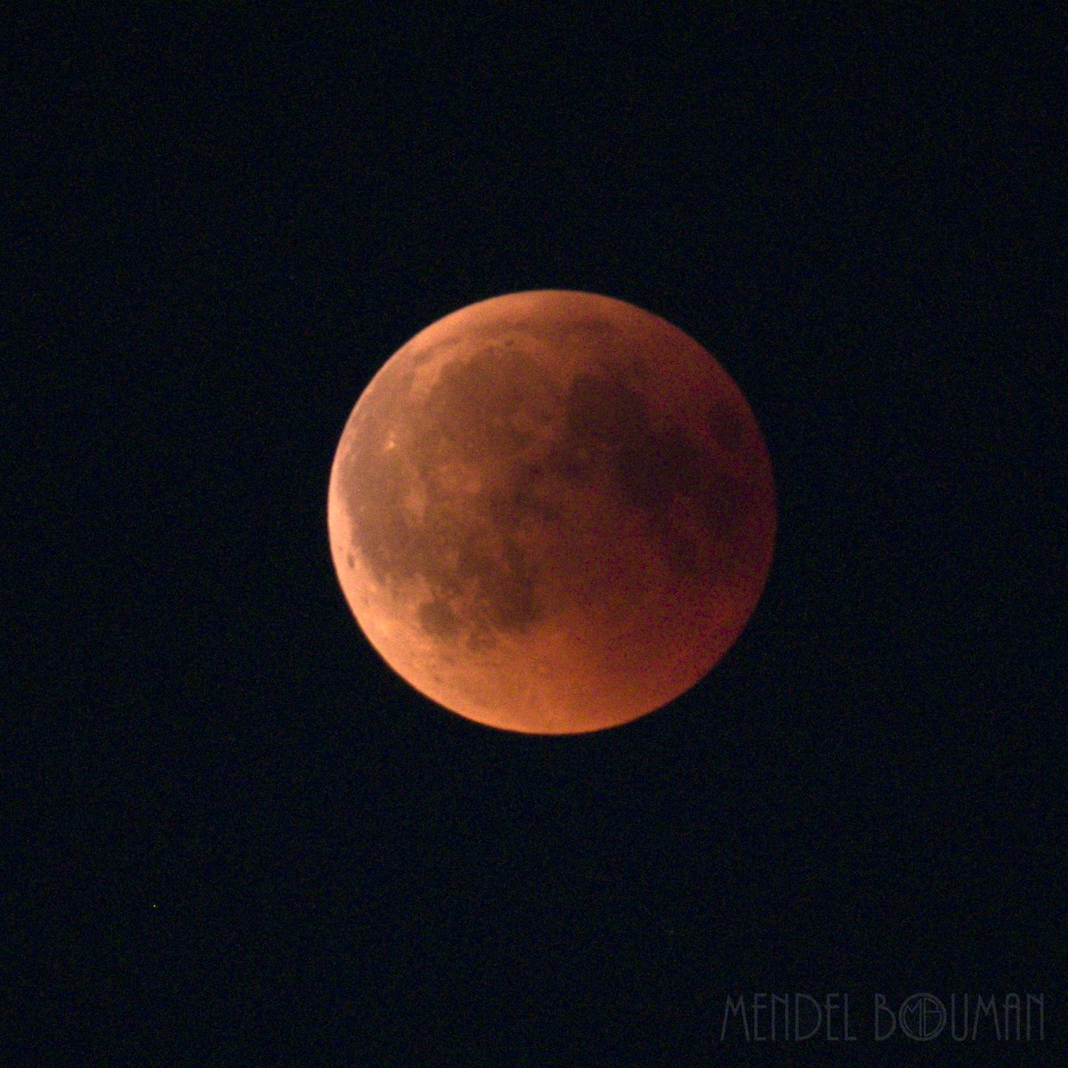 MendelBouman's tweet photo. Having fun with the raw footage of my camera. Shots of the #BloodMoonEclipse at #Groningen last night (second one includes Mars and the skyline of Hoornsemeer) #astronomy https://t.co/pygvLtOWCA
