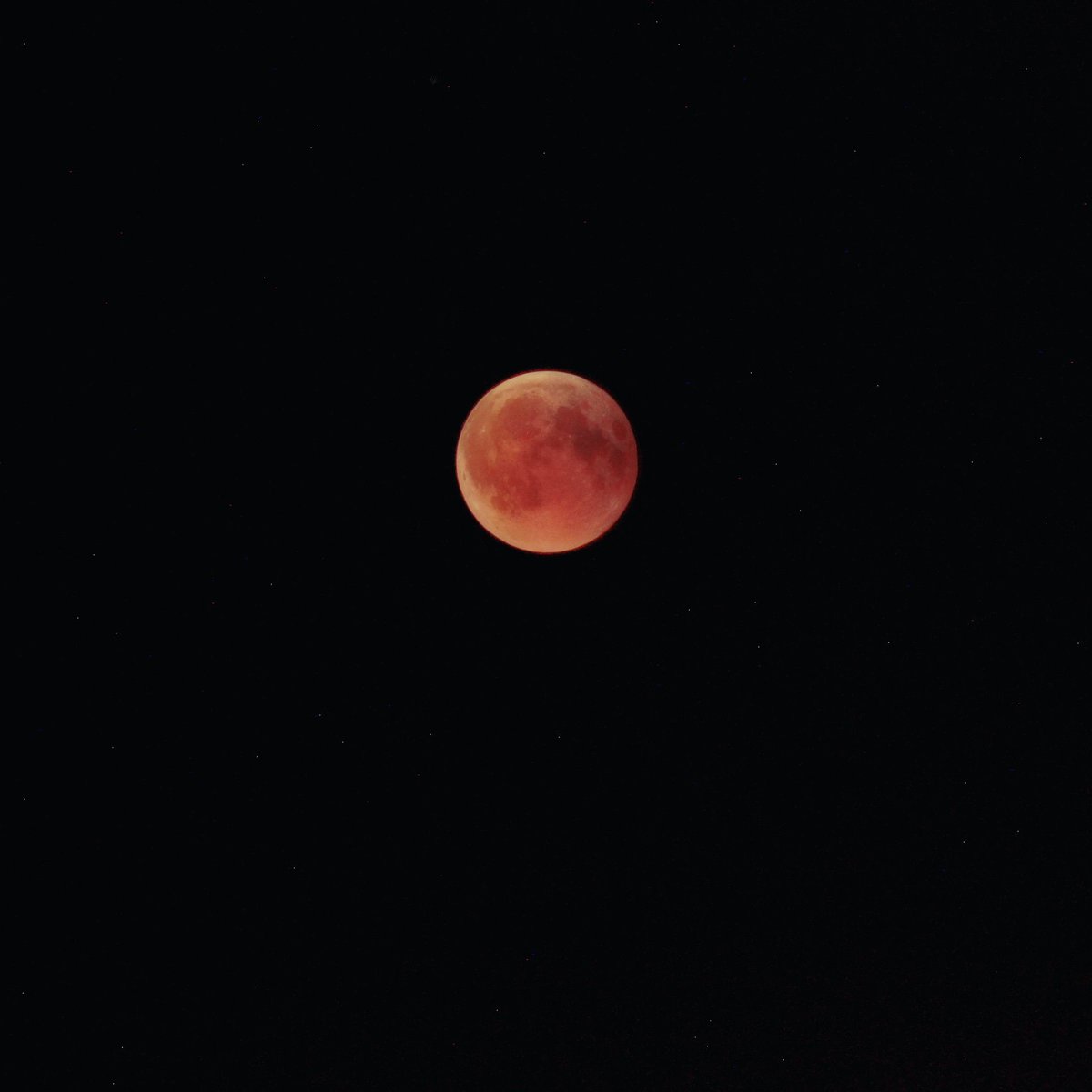 MarioPertinez's tweet photo. Y después de mucho te encontré
Luna de Sangre , candil de mis noches
compañera teñida de rojo !
And after a lot I found you Moon of Blood, lamp of my nights partner stained red #lunadesangre
#eclipse #eclipselunar #montevive #granada #canon7d https://t.co/cn8n3FjsHg