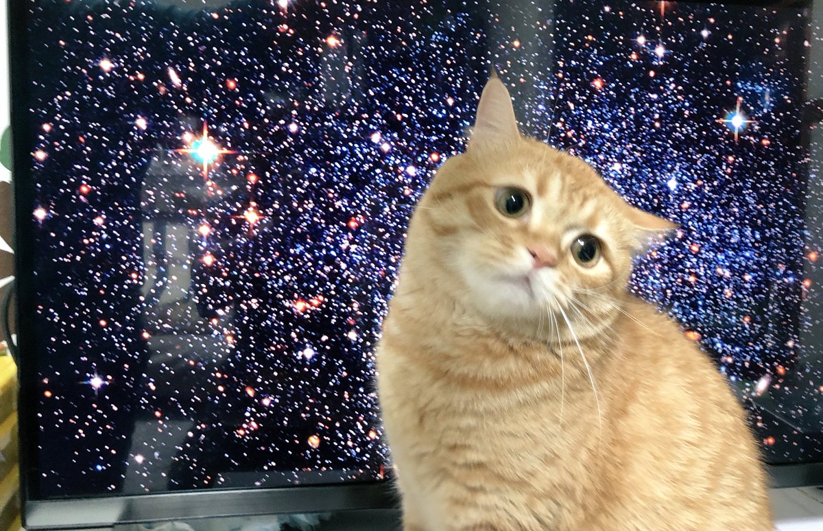 再現度高すぎ 宇宙の映像が流れてたテレビの前に偶然猫が座って例の写真みたいになった Togetter