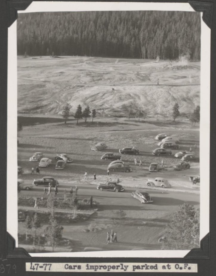 Old Yellowstone tweet media