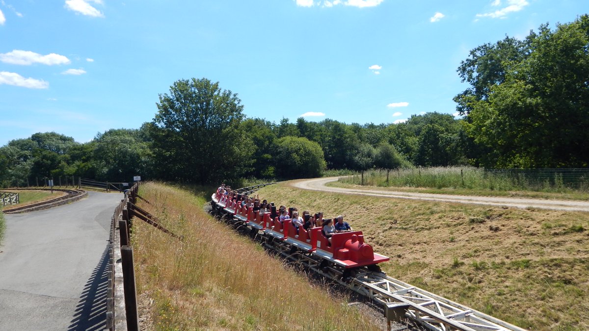 ellocoaster tweet picture