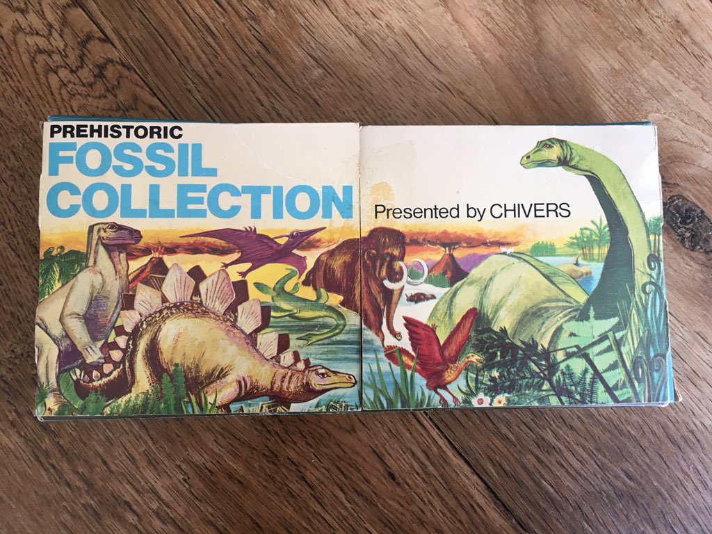 SuzeAppleMac's tweet image. Found this in a charity shop, it’s from the late 60’s, early 70’s and was a promotional item for Chivers Jelly. It contains 4 real fossils! 🦕 #prehistoric #fossilcollection #fossils #chivers #chiversjelly #promotionalproducts #vintage #charityshop #charityshopfind