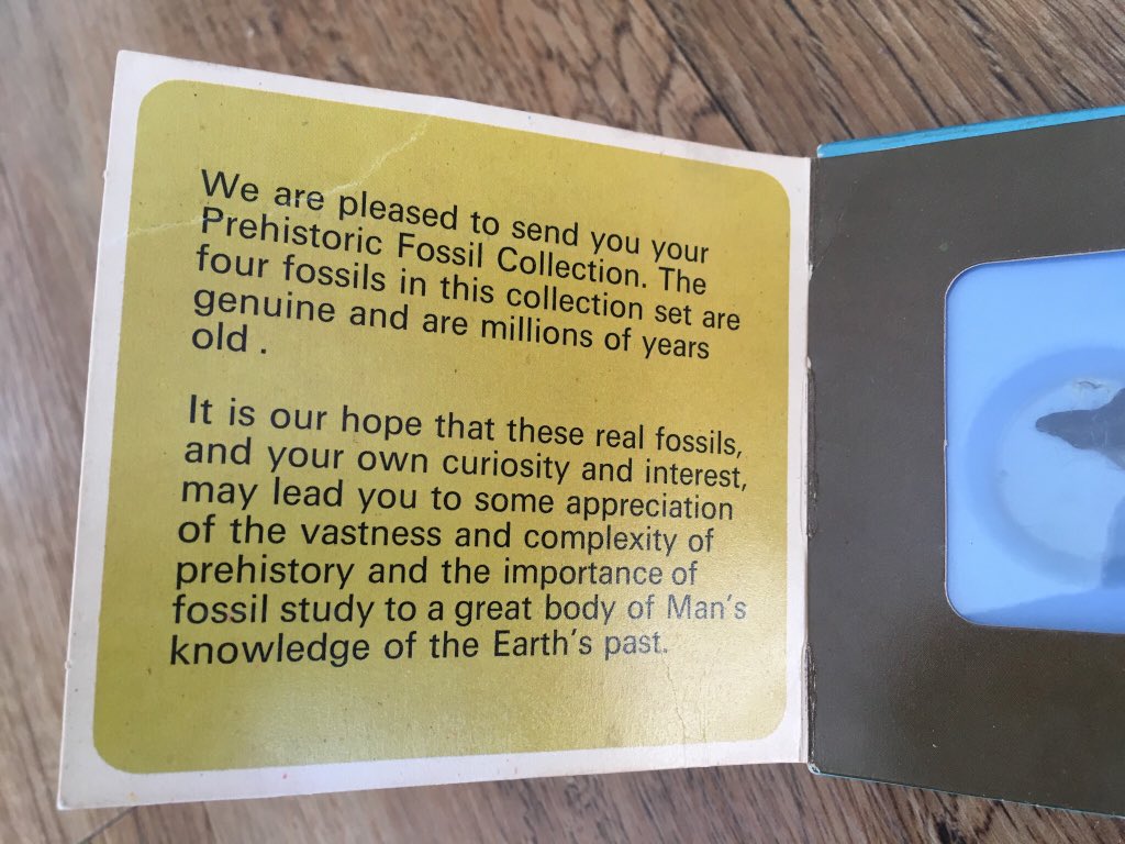SuzeAppleMac's tweet image. Found this in a charity shop, it’s from the late 60’s, early 70’s and was a promotional item for Chivers Jelly. It contains 4 real fossils! 🦕 #prehistoric #fossilcollection #fossils #chivers #chiversjelly #promotionalproducts #vintage #charityshop #charityshopfind