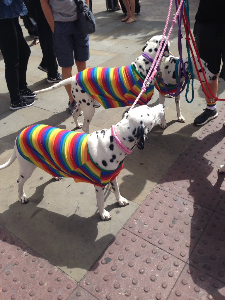 StephRegenda's tweet image. Look out for our building lighting up tonight against hate crime @TheRegendaGroup #commutationplaza #homesforeveryone @LiverpoolPride Great day so far 🌈🌈❤️💚💙💛💜
