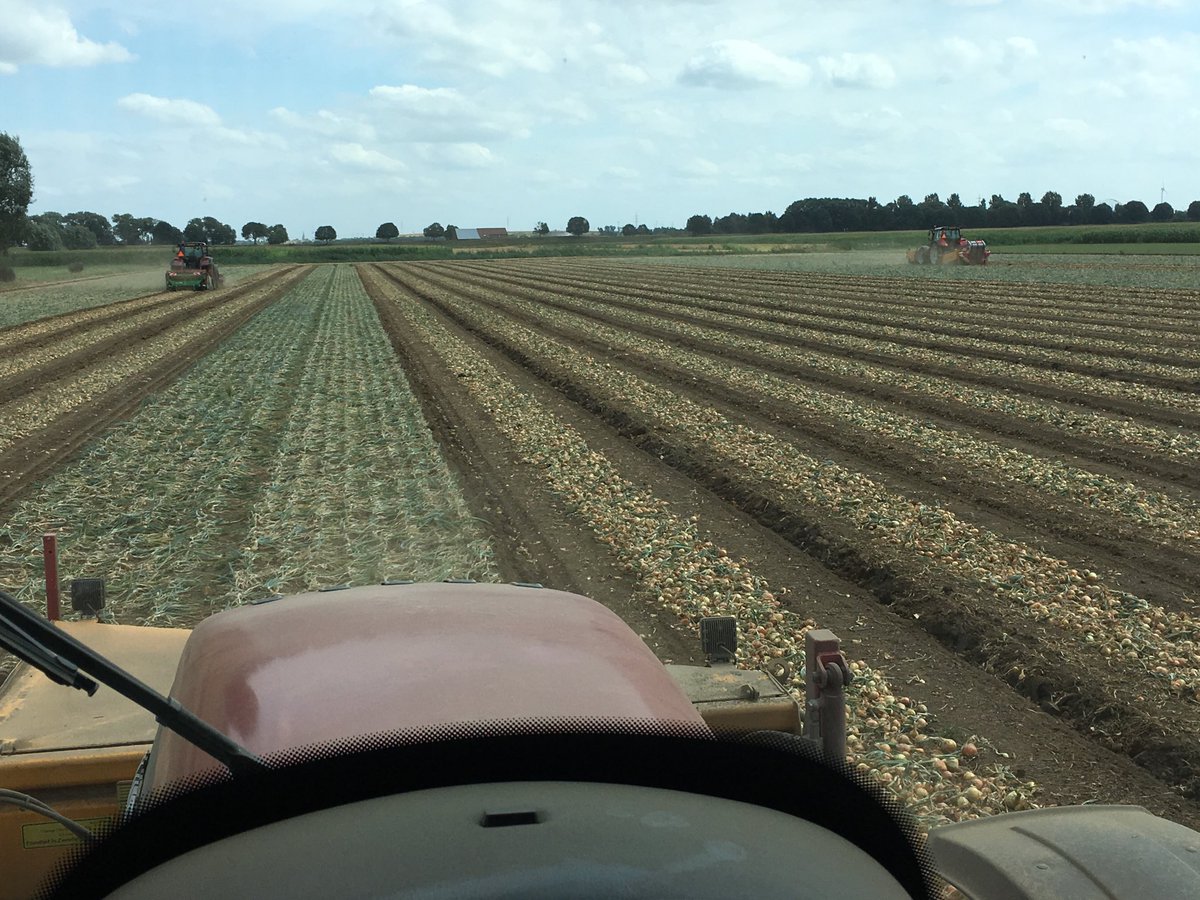 OostdijkH's tweet photo. Geen kans op zonnebrand vandaag, weer heerlijk overdag #uien rooien. 3x2,25 #jonika ⁦@jaccobliek⁩ https://t.co/U776nTXAzp