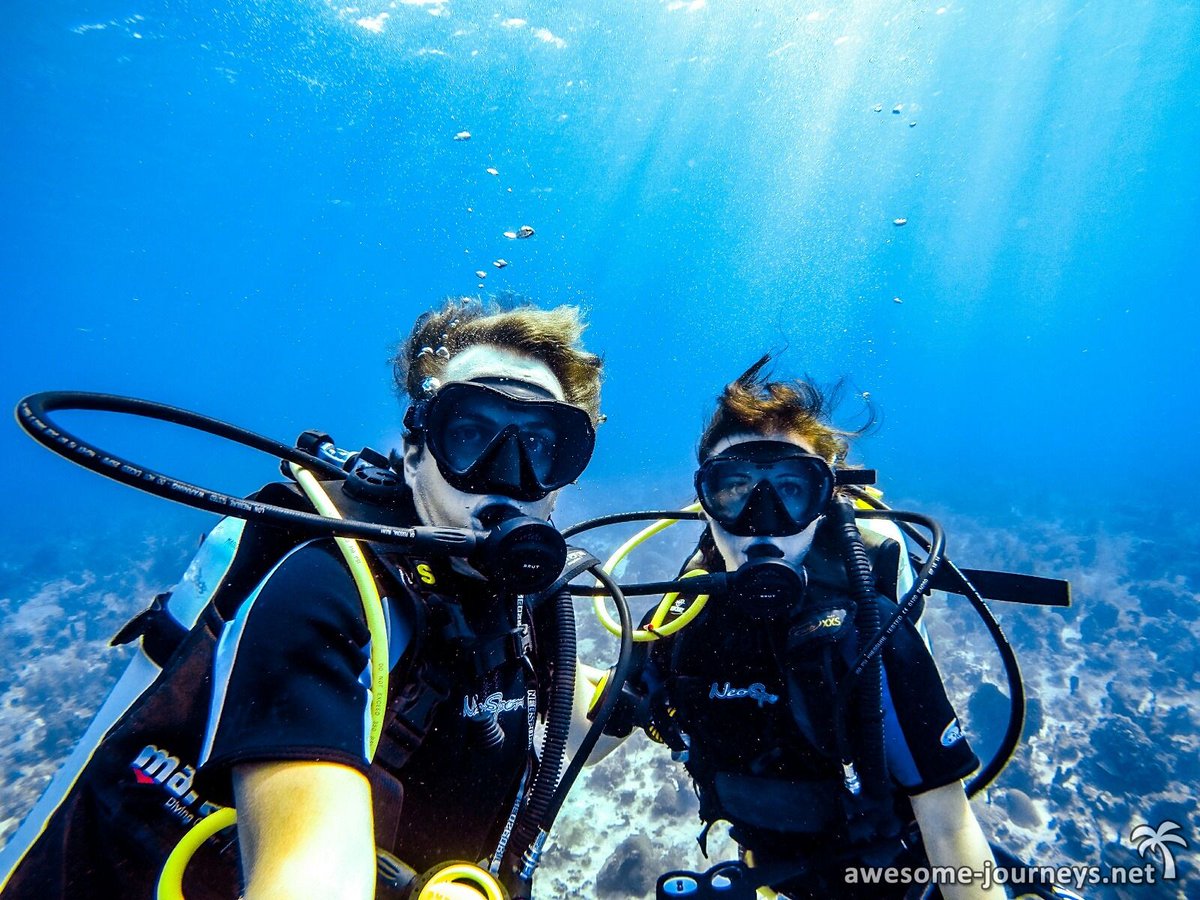 awesomejourneys's tweet photo. Einen Tauchschein sollte man auf einer Weltreise unbedingt im Gepäck haben! Jeder Tauchgang ist einzigartig und die Highlights unvergesslich! In unserem neuesten Beitrag haben wir unsere Top 10 Tauchreviere zusammengestellt!
https://t.co/D1m0EZGHfn https://t.co/OPPHJnBXap