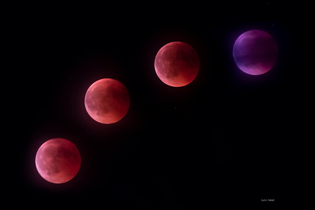 luis_canal's tweet photo. #moon #fullmoon #RedMoonEclipse #redmoon #luna #lunallena #lunaroja #instantes_fotograficos #photography #photo #photos #pic #pics #moment #picture #focus #capture #photogram
#bs_world; #fotografia #photooftheday #picoftheday #followme #nightphotography #leonesp #leoncutural https://t.co/JkoYQS7PKc