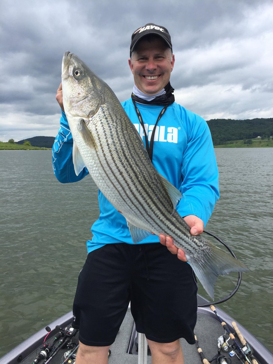 DonKelly/TackleShack (TackleShackPA) Twitter