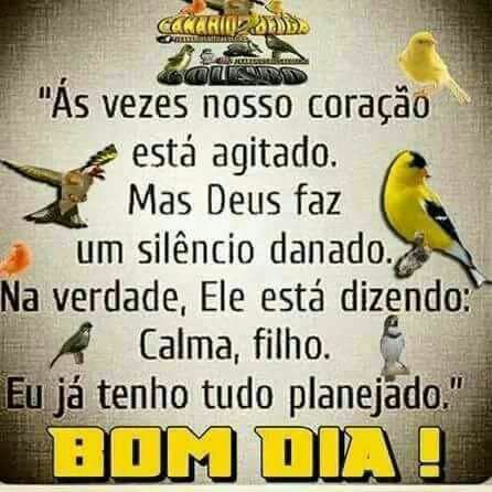 Marcelo Pereira beta (@marcelo77138800) on Twitter photo 