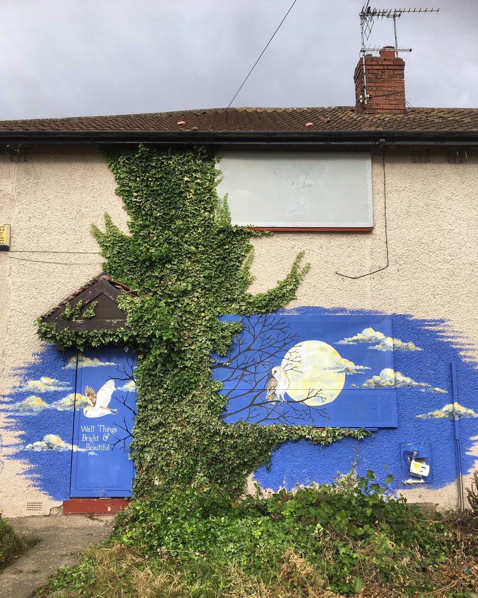 David Harrison tweet media