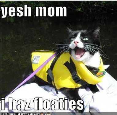 Trip to the river?