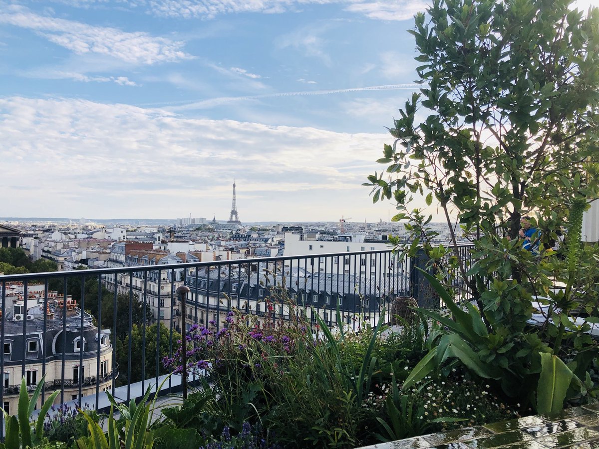 yannmicque's tweet photo. Restaurant perruche #rooftop https://t.co/hs39Ow1nC5