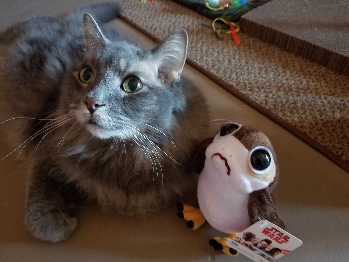 Love when my mom brings me gifts from <a href="/Comic_Con/">Comic-Con International</a> <a href="/starwars/">Star Wars</a> #StarWars #porgs