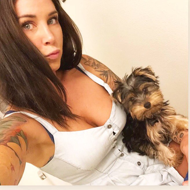felicity feline [official]💀 on Twitter "Felly and I love you all. ️🙏 l…
