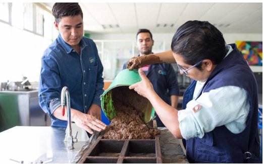 El_Universal_Mx's tweet photo. #OrgulloMexicano Javier Guillén creó un material de construcción increíble a base de baba de nopal https://t.co/QAF2XoywQP https://t.co/WJeTgAc5lh