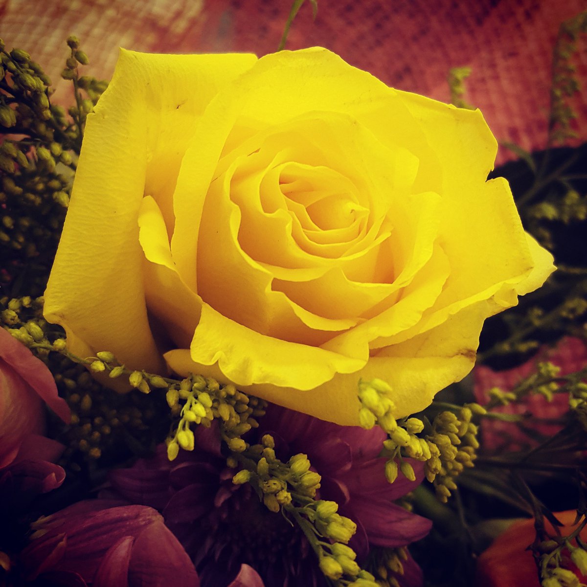 وحشتني عدد نجوم السما ء حالات واتس اب شوق Youtube