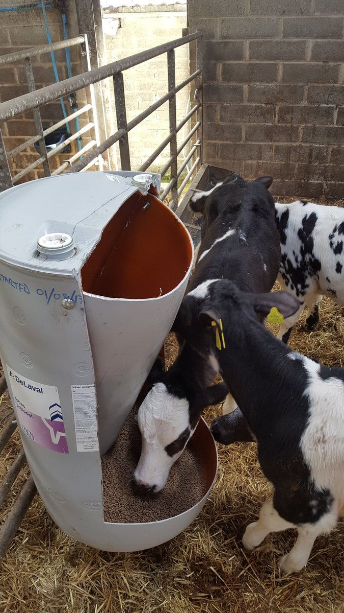 I had this idea from a tweet months ago, can't remember who to credit but found a use for all the blinking drums building up! #farmerengineering #delaval upcycling! Got a bit of tweaking to do, maybe smaller opening at bottom.