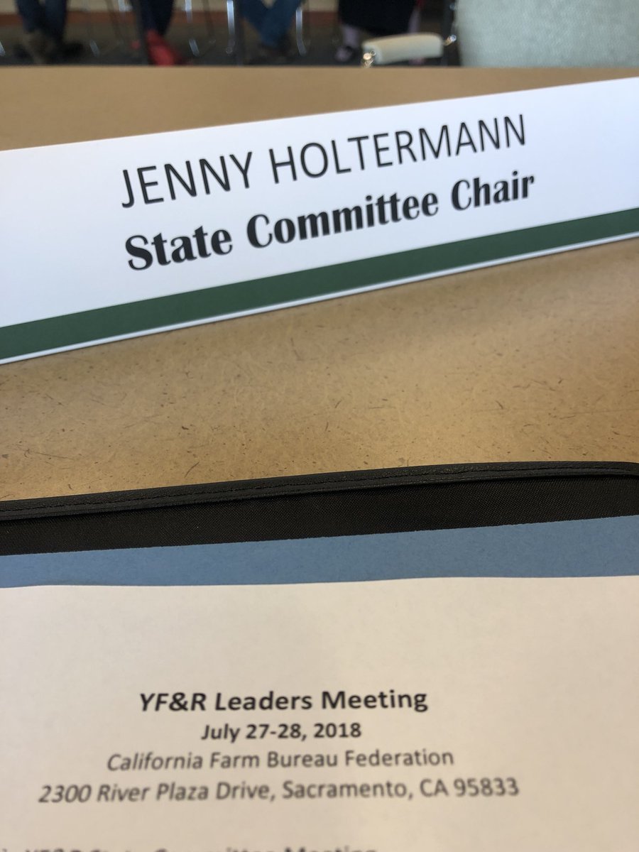 almondgirljenny's tweet image. YF&amp;amp;R idea share, brainstorming and training in our State YF&amp;amp;R Summer Leaders Meeting. #cayfr18 #cfbf #fbproud