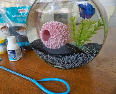 Gamila on X: Cool #glass #fish #bowl decorations ideas and tips    / X