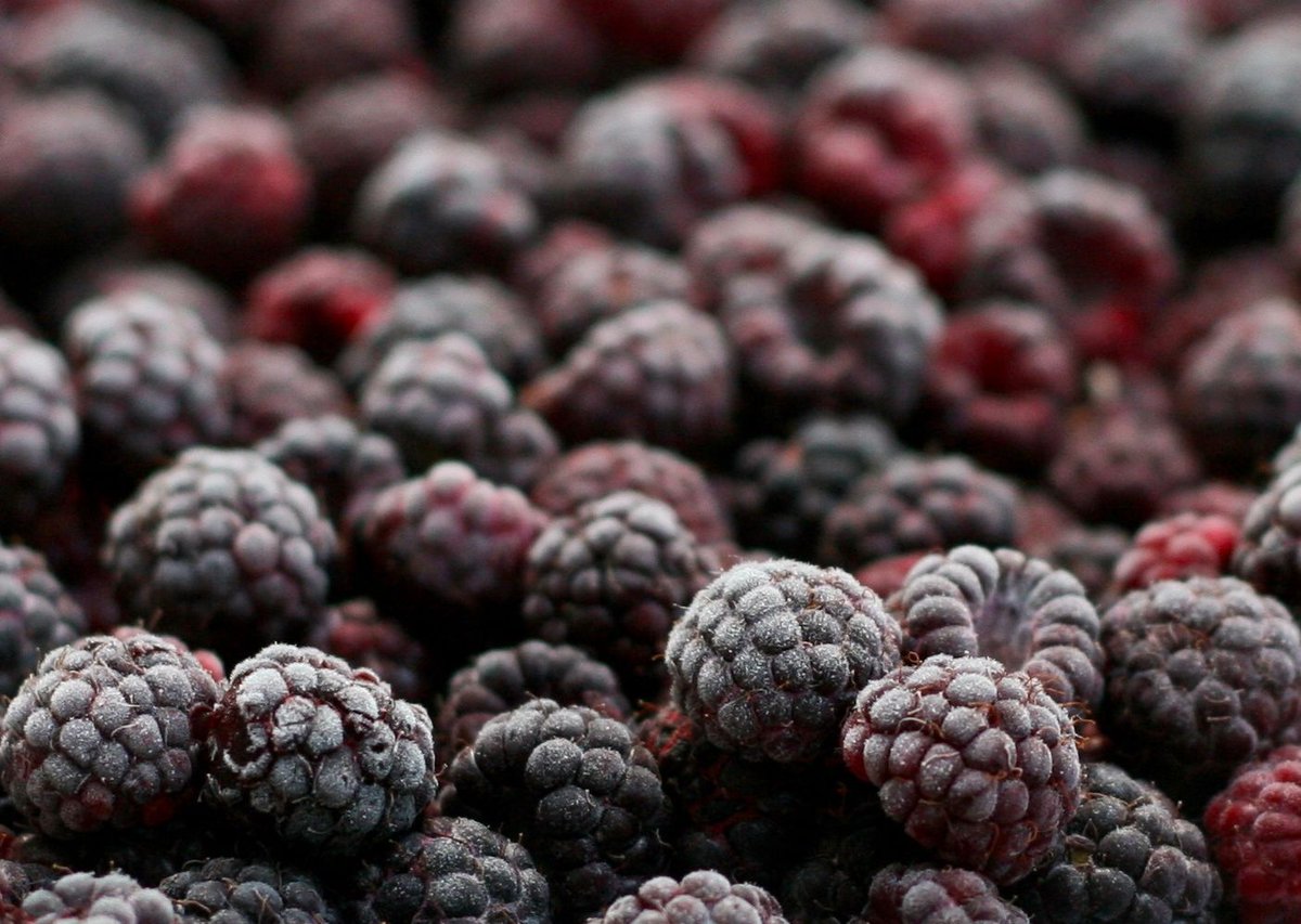 SummitRefrig's tweet image. Fascinating... "Last month, America’s vast network of refrigerated warehouses held enough frozen whole turkeys to feed every single family in the country on Thanksgiving." buff.ly/2Oh5q82