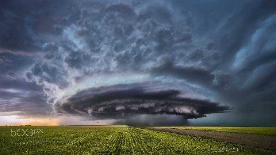 B_Ubiquitous's tweet image. Photogenic
#photography by Derek Burdeny
#Kansas #supercell #explore #nature #photo #storm #adventure #sky #earth #art #beautiful #sunset #clouds #love #prints #weather #wallart #fotos #stormchaser #wx #wanderlust #travel 🇺🇸
500px.com/dburdeny