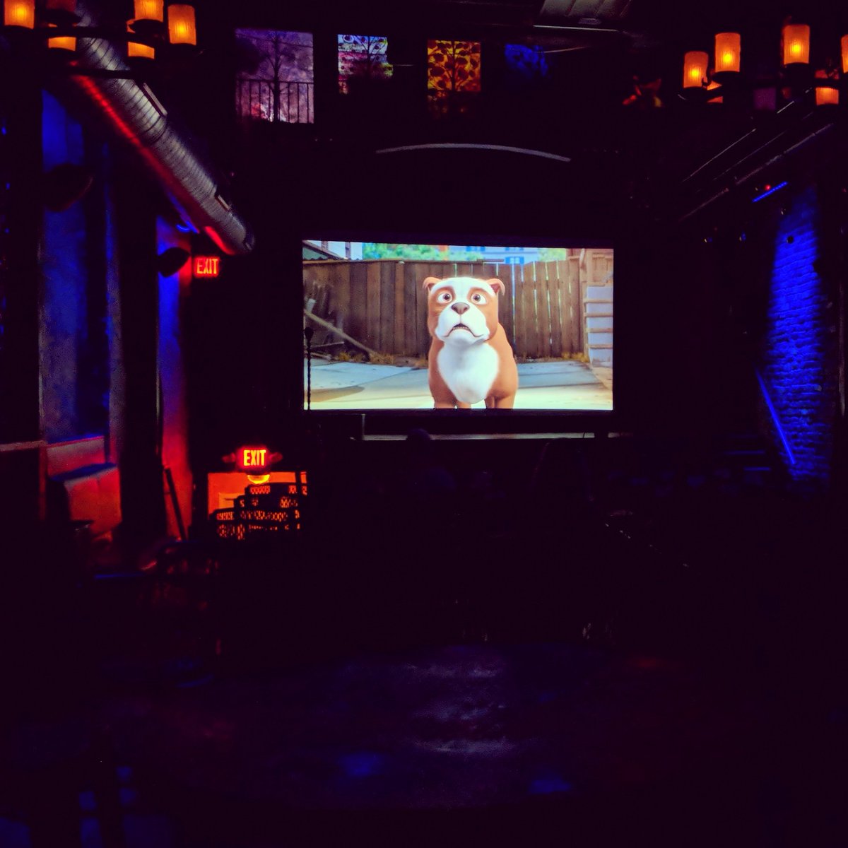 Dr. Magnifico is on 🧵 tweet media